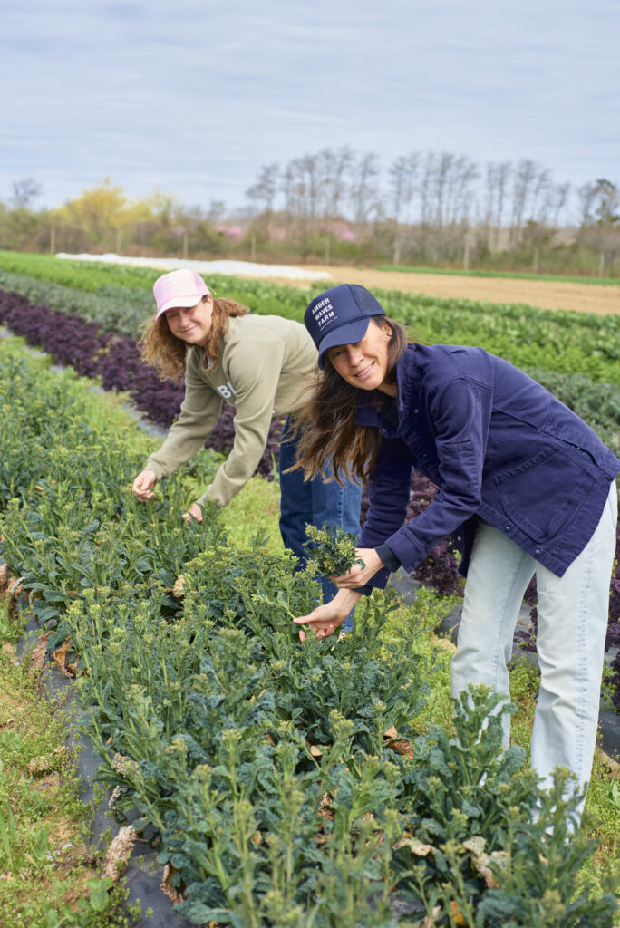 Cook This Now! Amber Waves Farm roasted kale-ini | Southforker