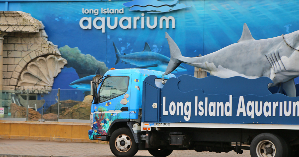 Riverhead aquarium to debut new exhibits, interactive experiences