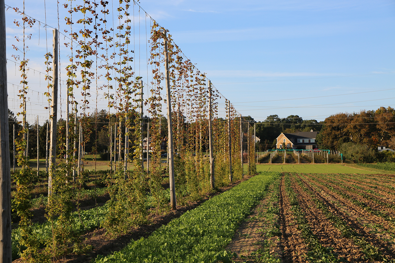 Condzella's Farm in Wading River partners with Peconic Land Trust for