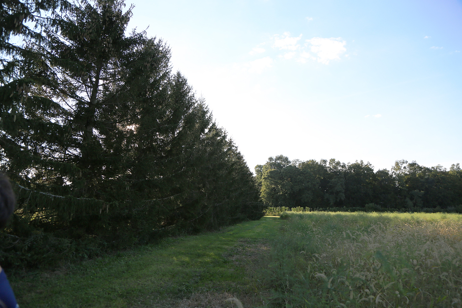 Condzella's Farm in Wading River partners with Peconic Land Trust for