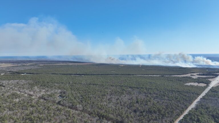 Statewide spring burn ban goes into effect March 16