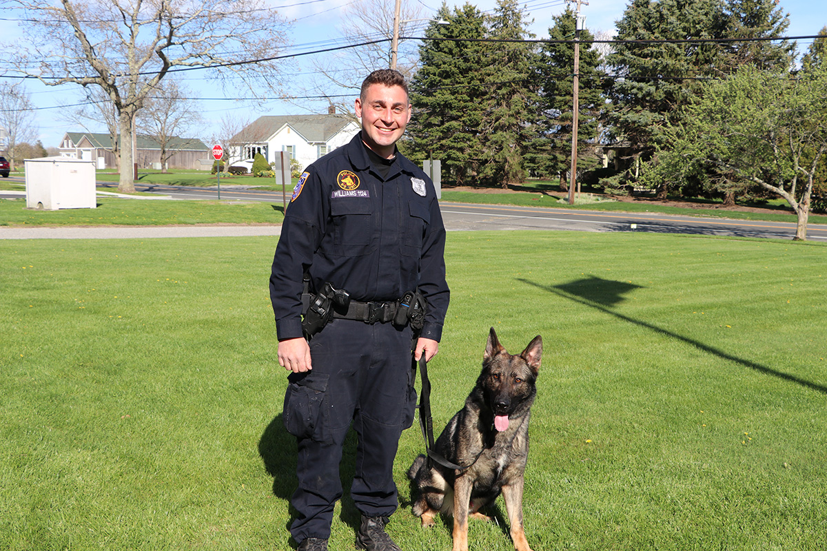 Meet Solo Southold Town PD’s newest K9 officer The Suffolk Times