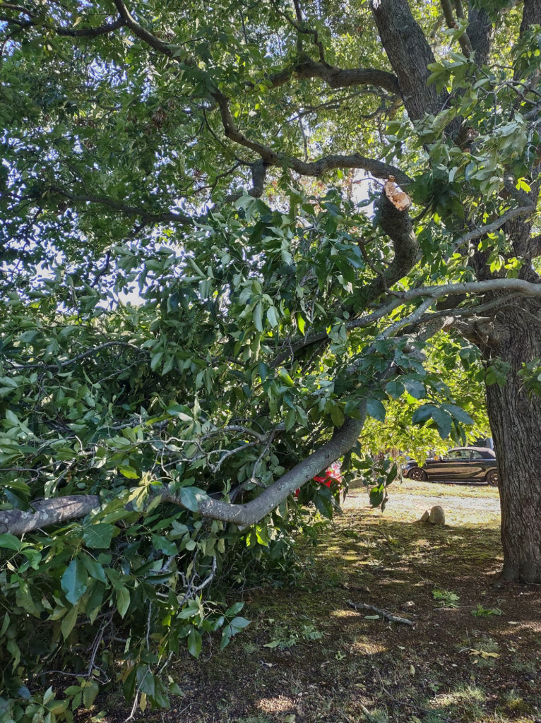Update Mattituck High School's gym, tennis courts damaged by tornado
