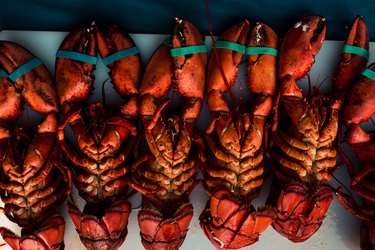 Daily Update Unraveling the mystery and method of 'market price