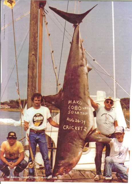 An old, grainy photograph depicting four men, all wearing t-shirts and jeans, either standing to kneeling. They pose next to a larger shark, suspended from its tail in the center of the photo. Written on the shark's side is 'Mako 1,080 lbs, 50 lb. test. Aug. 28 – '79. Cricket II.'