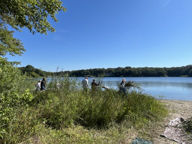Wetlands in Southold Town may get new protection with proposed building codes.