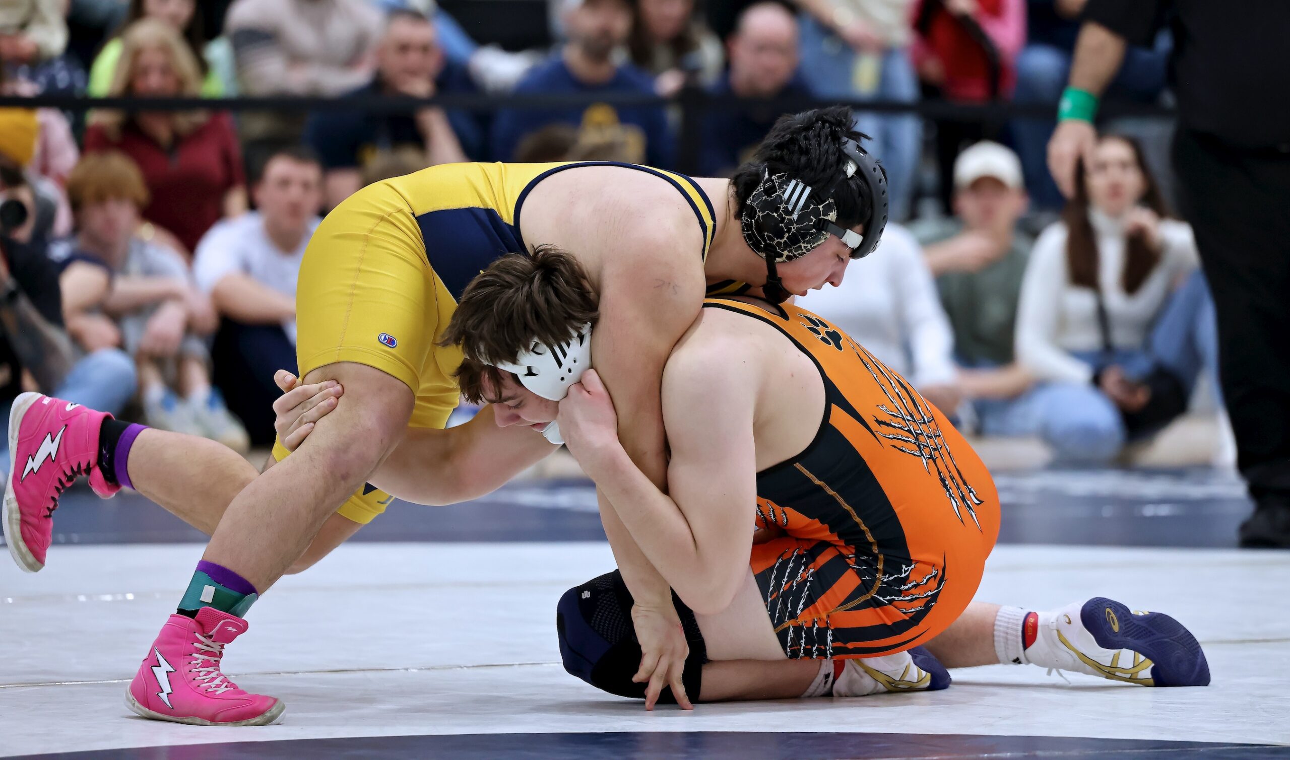 Sports roundup: North Fork wrestlers earn All-County honors
