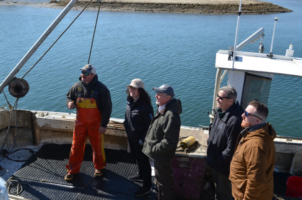 North Fork oyster growers get $3M boost after devastating winter losses