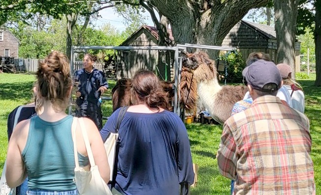 Learn from the best at Fleece & Fiber Fest