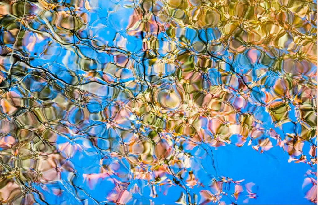 North Fork community events: May 21, 2026 North Fork community events: May 21, 2026