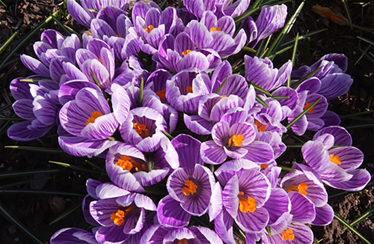 Editorial: Mother’s Day 2026