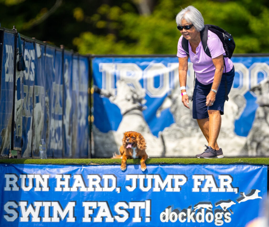 Dog Dock Diving splashes back into Greenport’s Polo Grounds