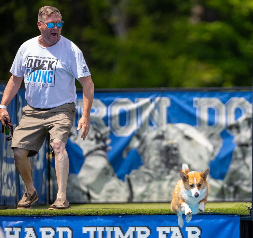 Dog Dock Diving splashes back into Greenport’s Polo Grounds