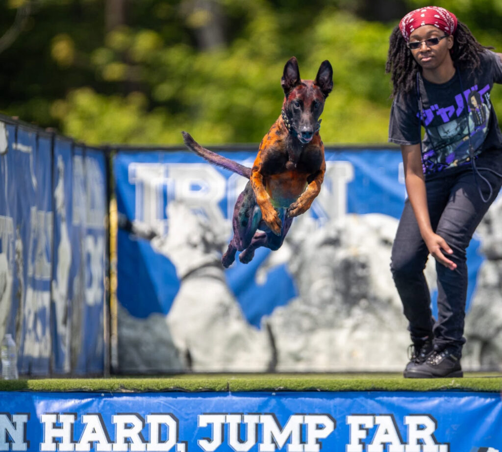 Dog Dock Diving splashes back into Greenport’s Polo Grounds