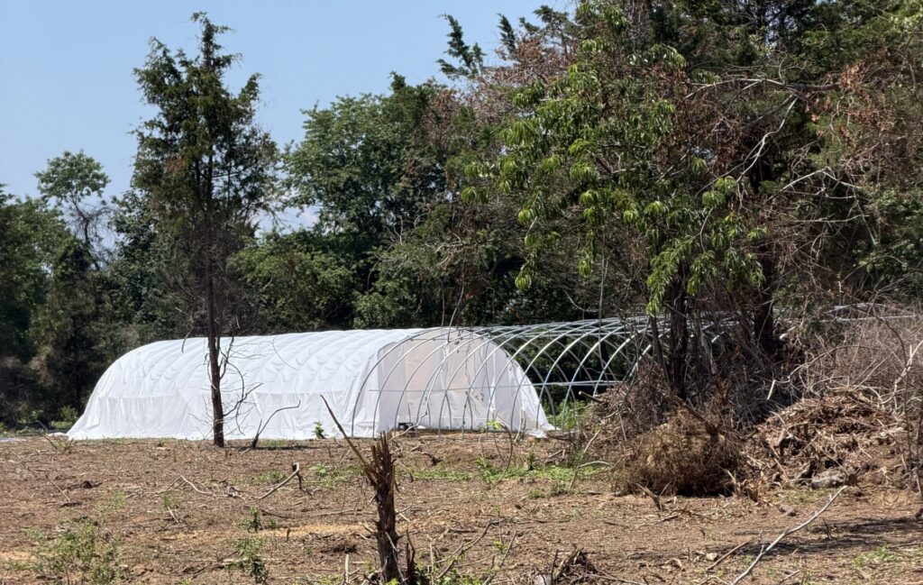 Southold issues stop-work order at controversial 6,000-hen egg farm Southold issues stop-work order at controversial 6,000-hen egg farm