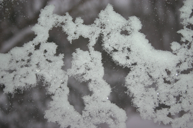 | Snowed in. Ice crystals forming on a Silver Beach window.