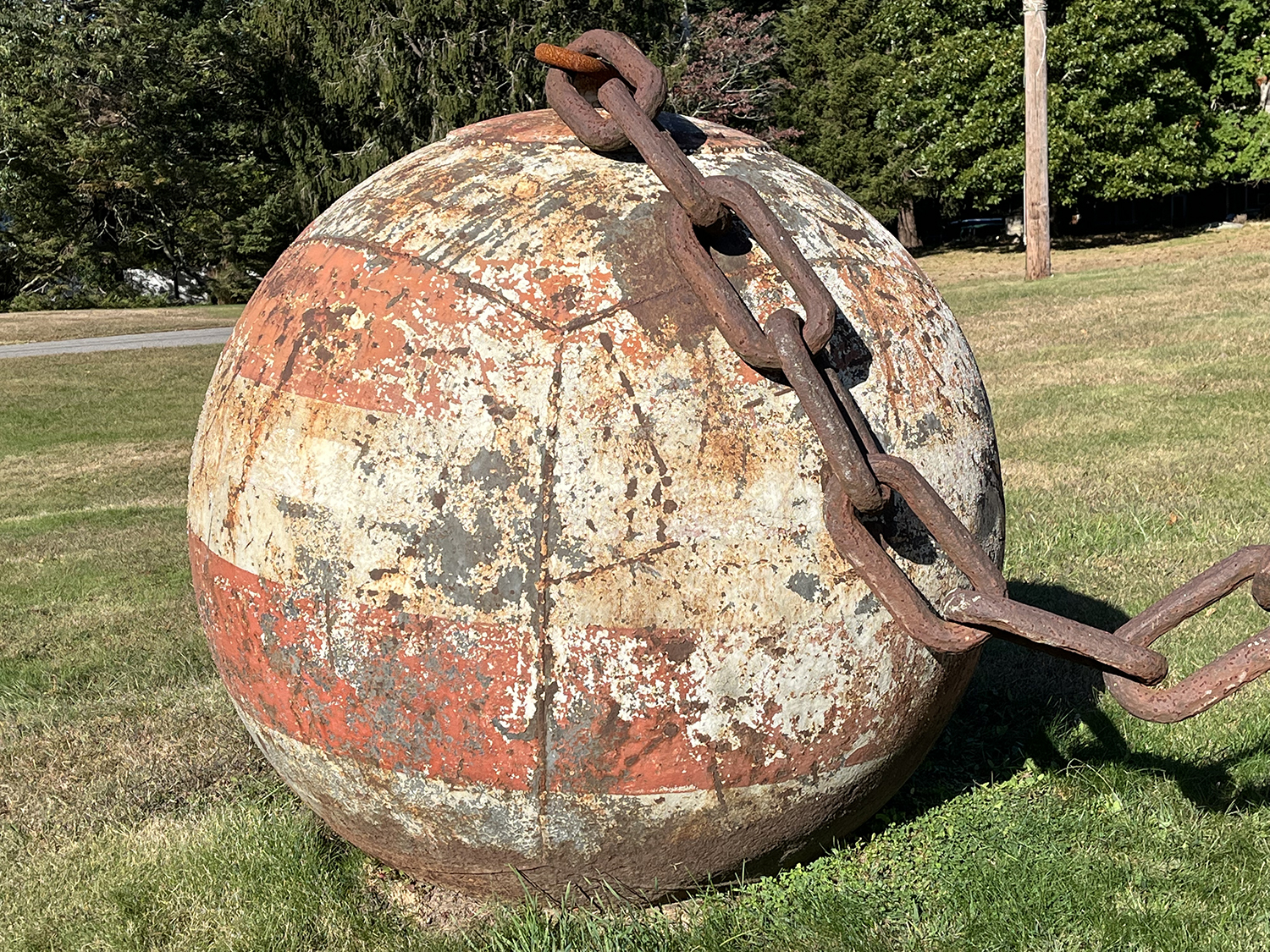 SIR2024_1017_WhatIsThat Shelter Island Reporter