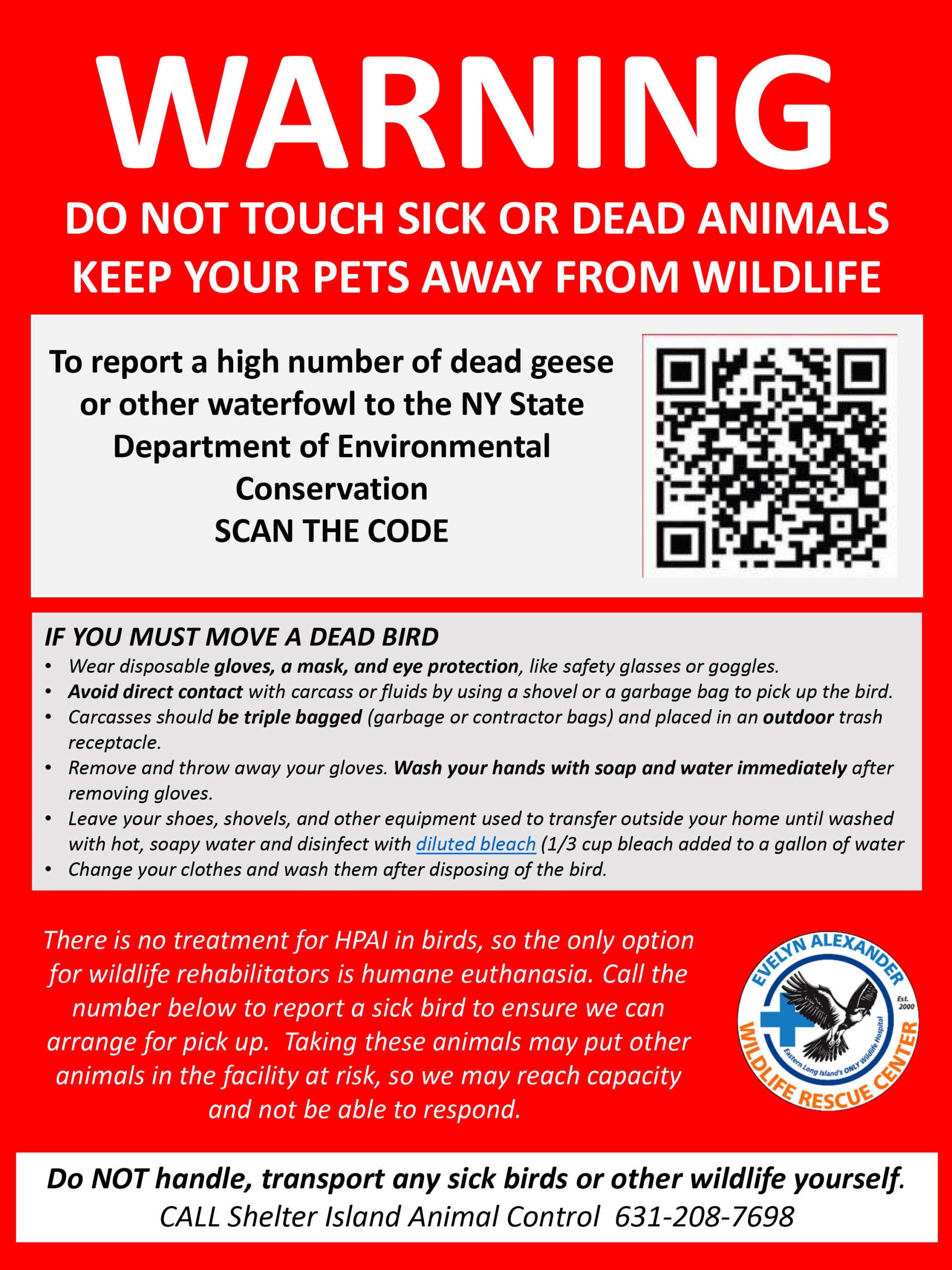 All in a day’s work for Island’s ACO: Bird flu cleanup, nurturing infant wildlife rescues 