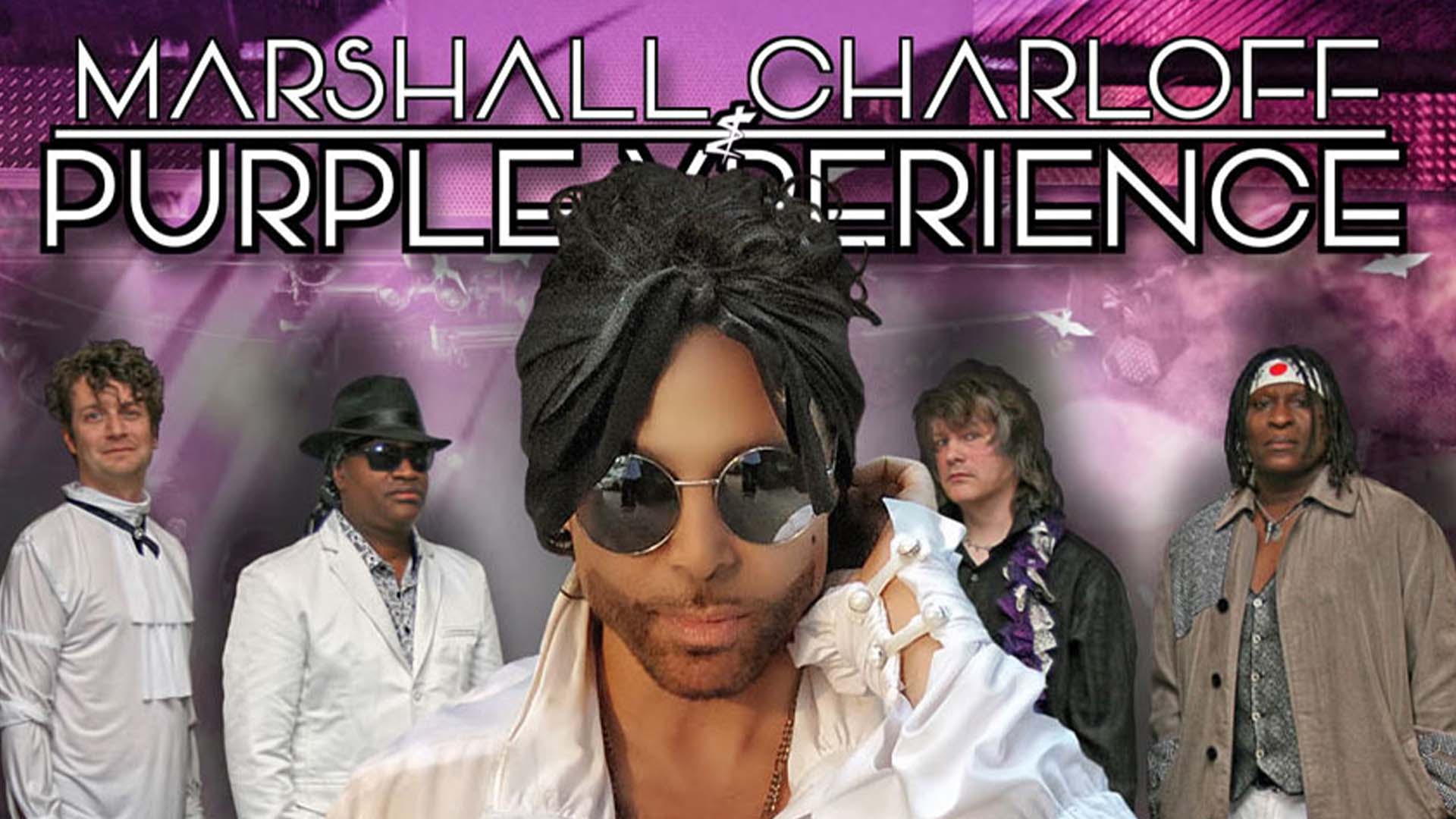 レア物　Purple stream TOHOKU100th オルゴール　東北 Purple XPeRIeNCE - Northforker