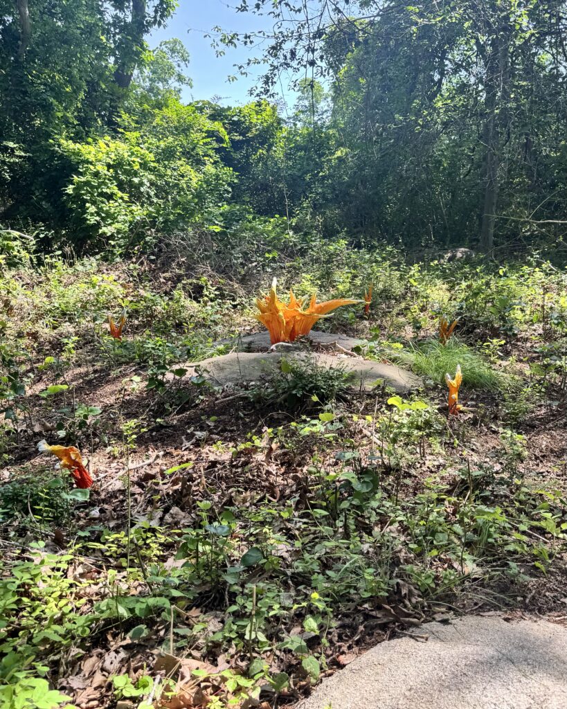 Orange glass sculptures resembling flames are scattered amongst greenery and rocks.