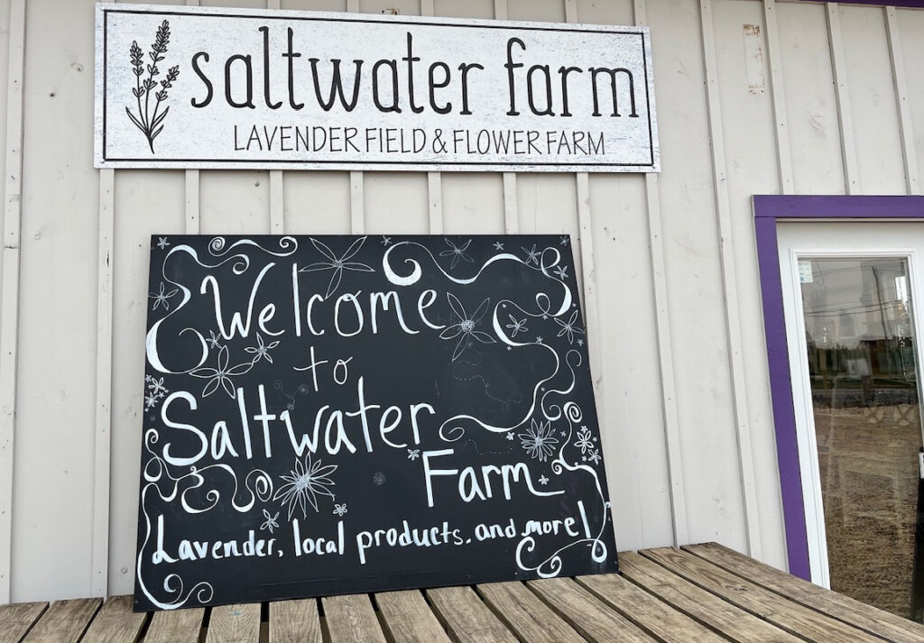 Saltwater Farm sign: "Welcome to Saltwater Farm, Lavender, local products, and more!"